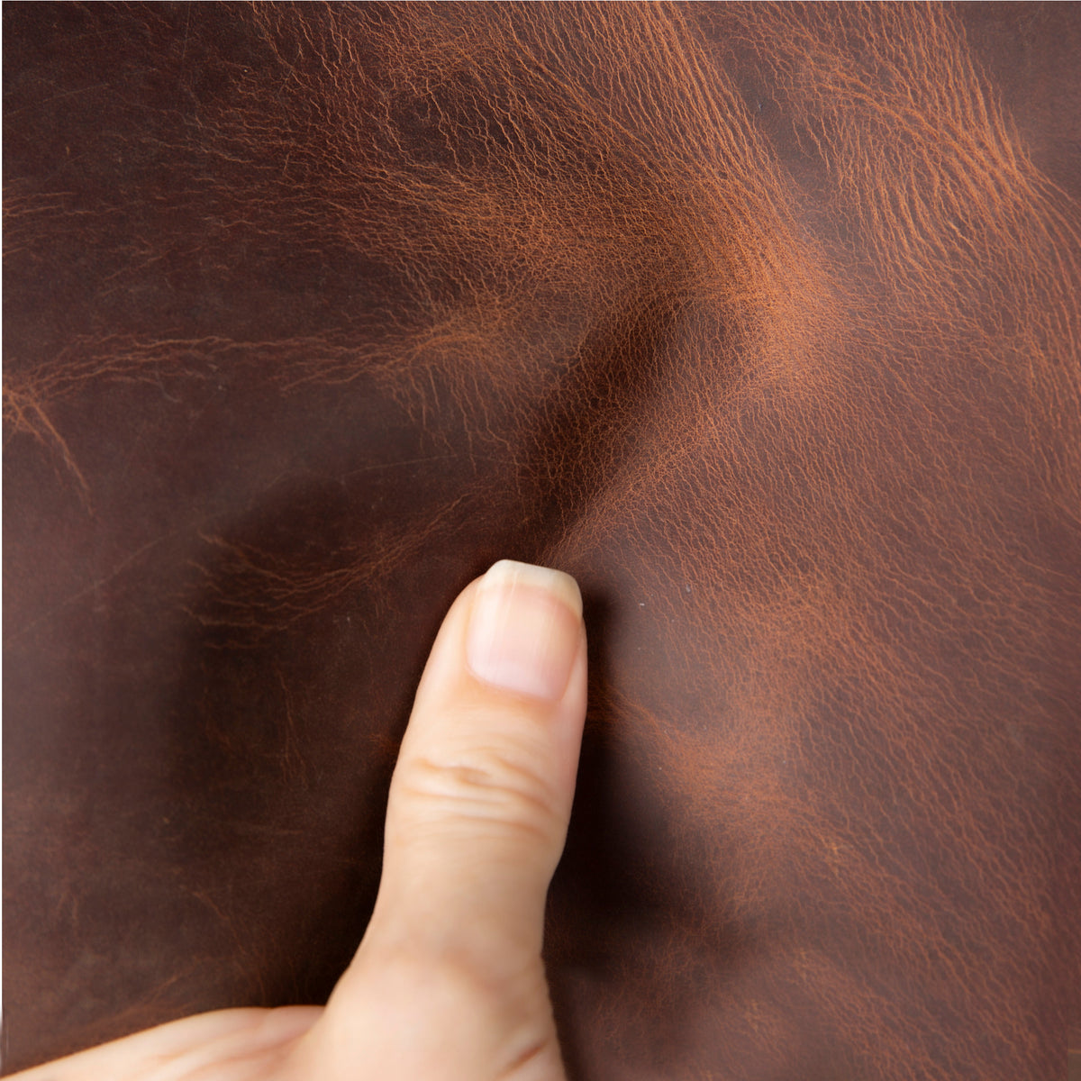 Leather iPhone 17 Folio Case - Sonat